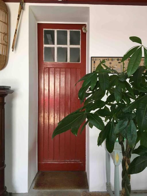 Appartement En Rez De Jardin Ciboure Exteriér fotografie